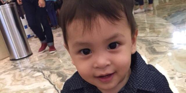 Ferlauna Alona banner