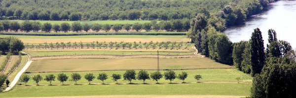 agroforadapt Profile Banner