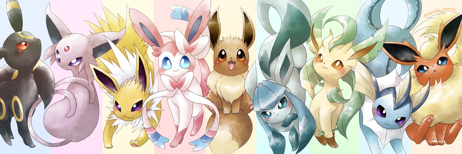 NotxEevee banner