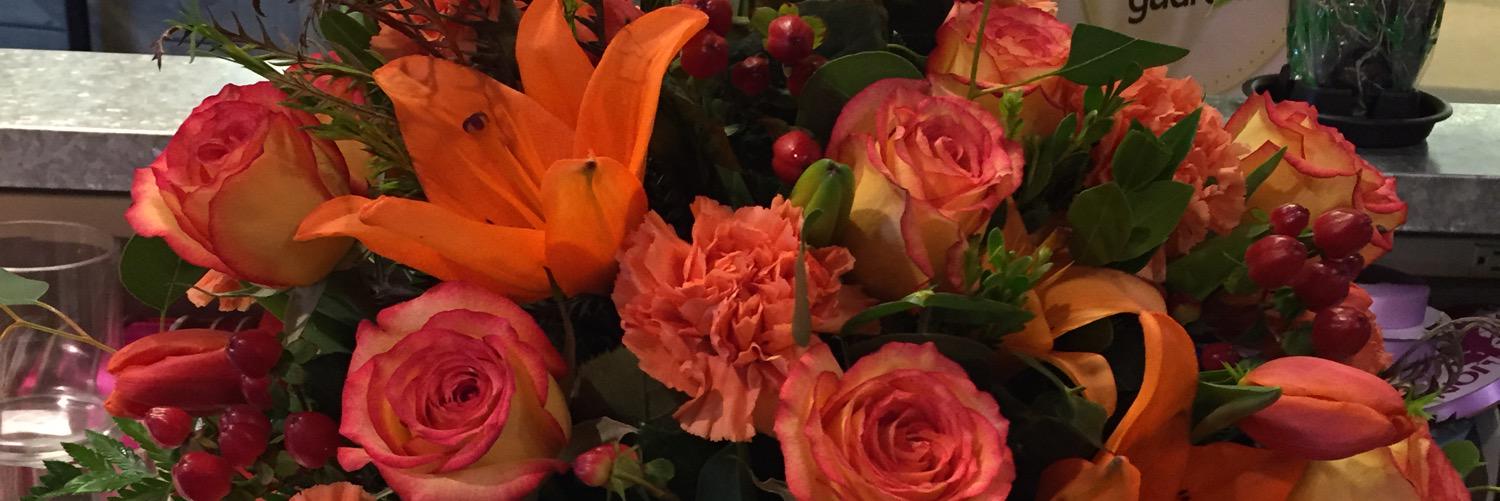 FloristProbs's profile banner image