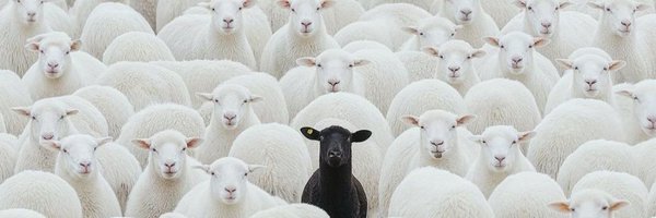 kingofcool_O Profile Banner