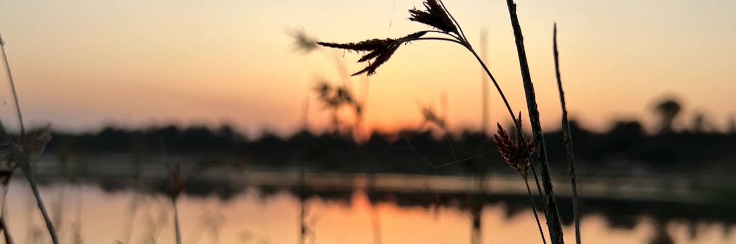 Yasht009's profile banner image