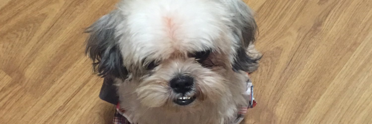 camillesulit's profile banner image