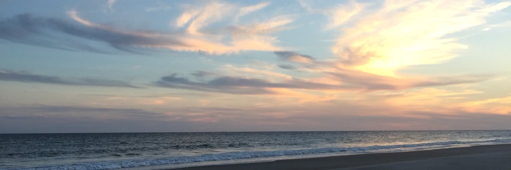 ldnoggle's profile banner image