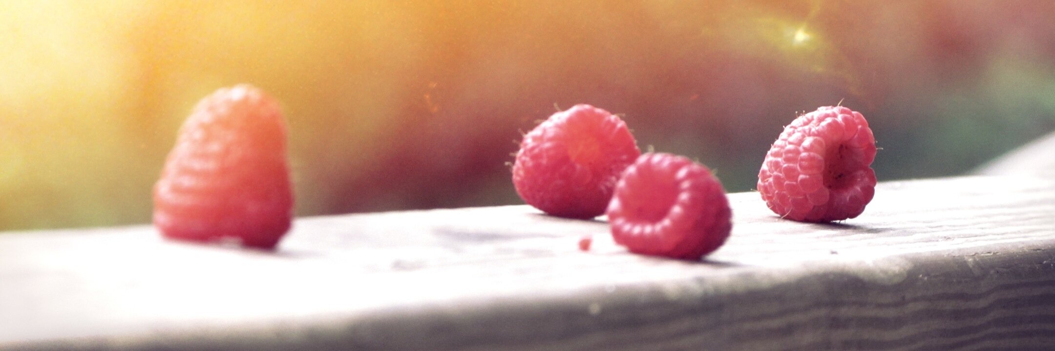 Naa Marteki Reed ✊🏿💃🏿 (she/her/hers) banner