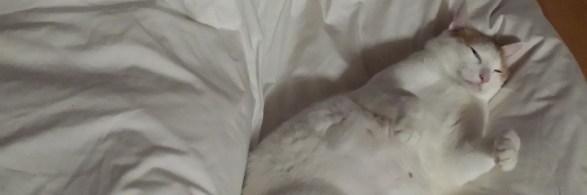 Na_3Metal's profile banner image