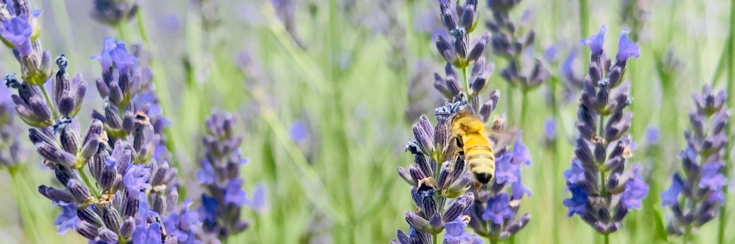 株式会社TIC banner