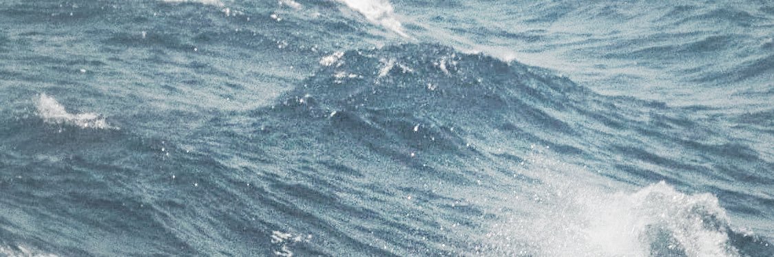 nevtless's profile banner image