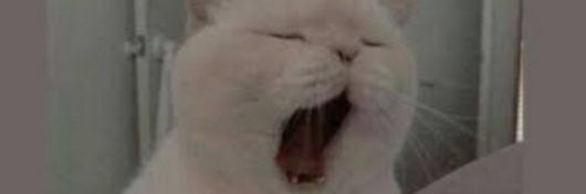 FlukhXe's profile banner image