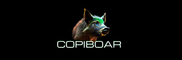 copiboar Profile Banner