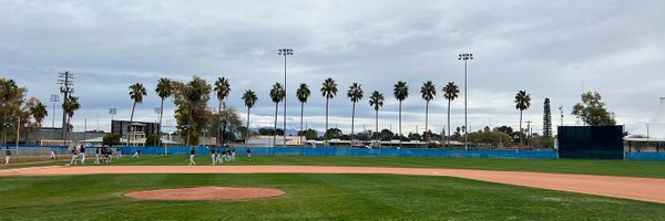 TpuBaseball Profile Banner