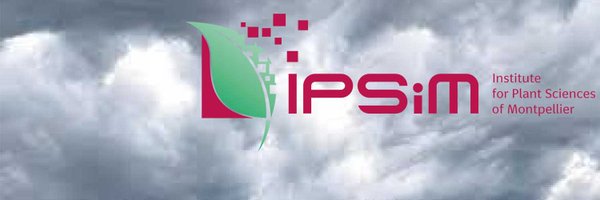 IPSiM_fr Profile Banner