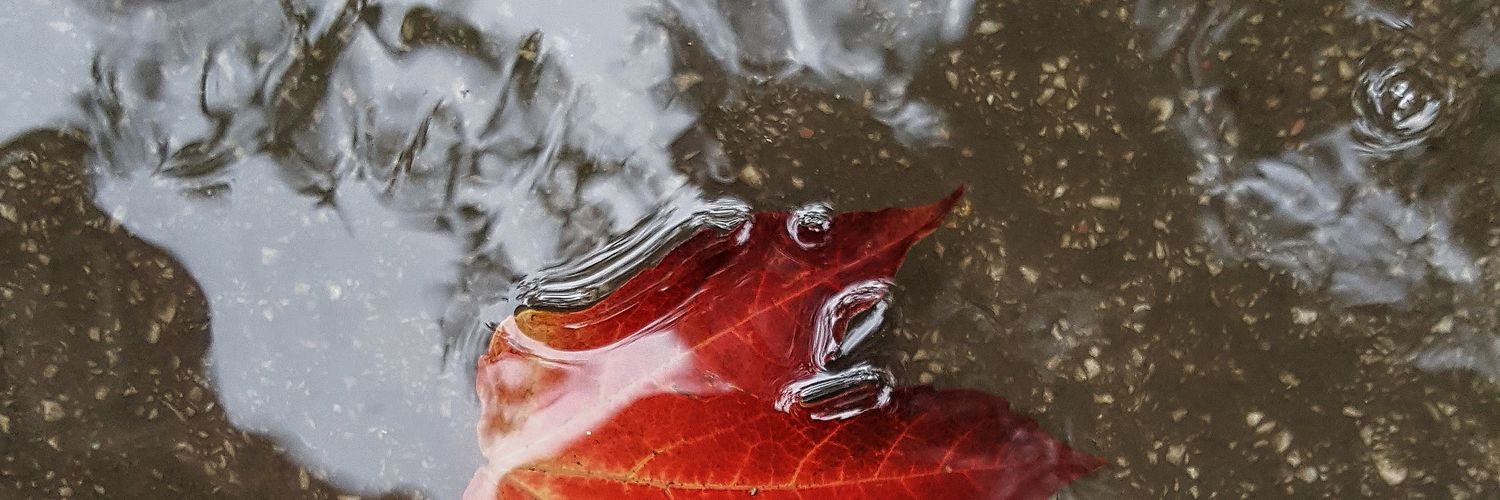 KeremsArea's profile banner image