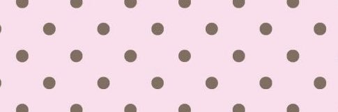k a r i n banner