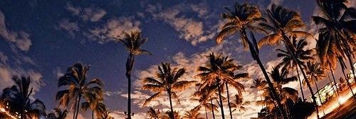 kimjade06's profile banner image