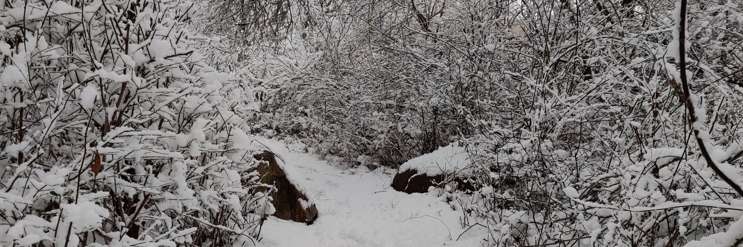 GDemonxx's profile banner image