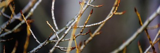 Talbot Costa(💙,🧡)❤️ Memecoin banner