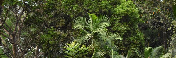 besenthil Profile Banner