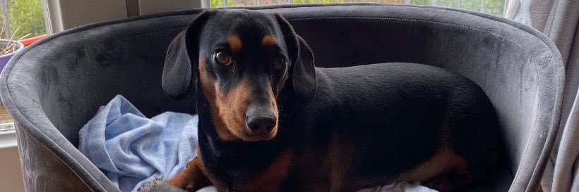 Ethan_1908's profile banner image