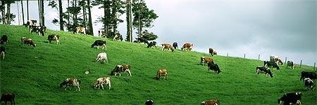 AgmaxNZ's profile banner image