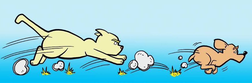 Toad_the_Cat's profile banner image