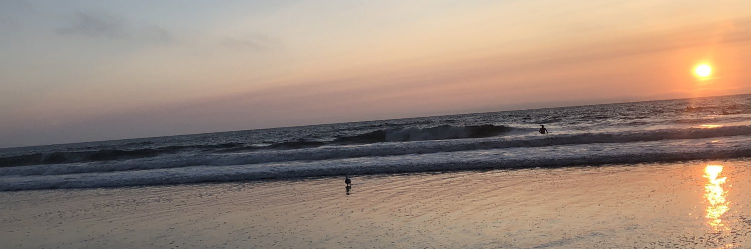 Rona S. Fernandez banner