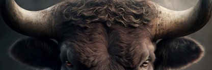 Toro Digital Assets 🐂 🌎💰 banner