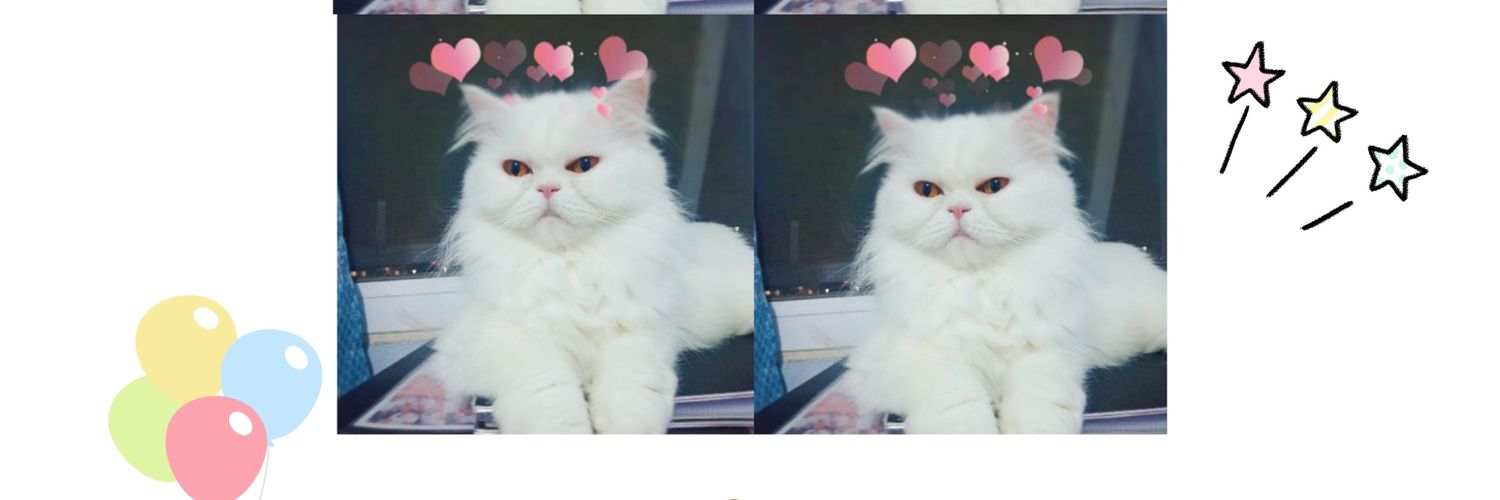 BamByluna's profile banner image