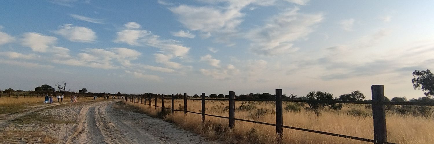 mariodc44's profile banner image