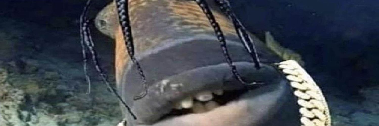 ferfadocurry's profile banner image