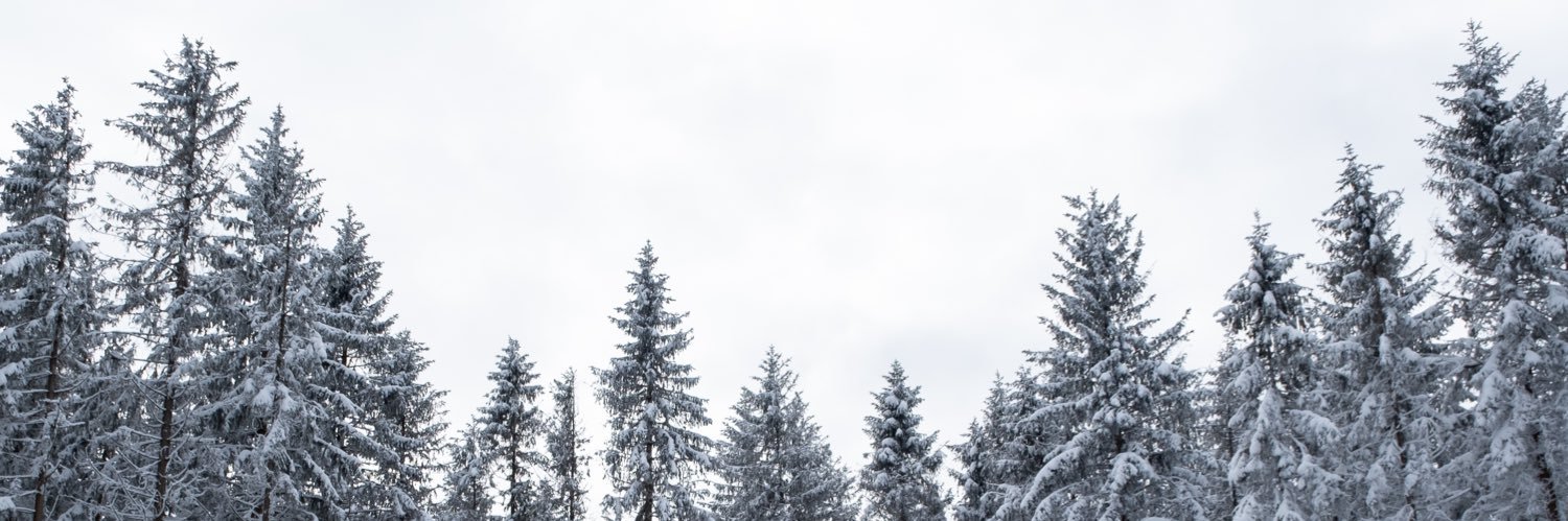 Gautwier's profile banner image