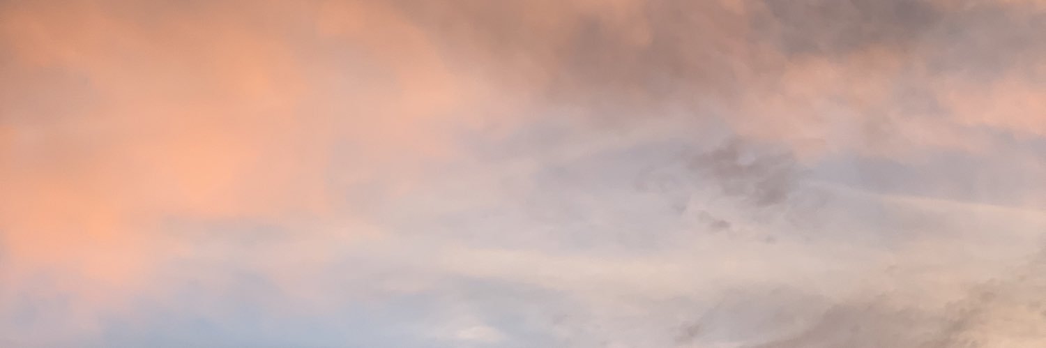 itsMeagan__'s profile banner image