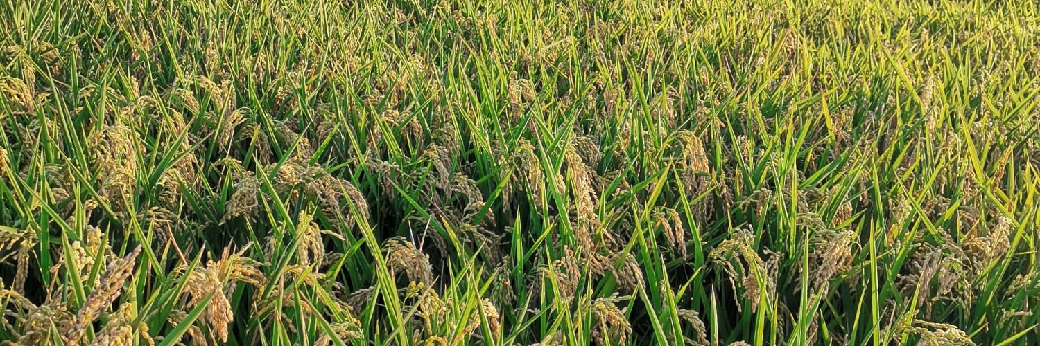 Eddi Bodnar ✝️🇪🇸 banner