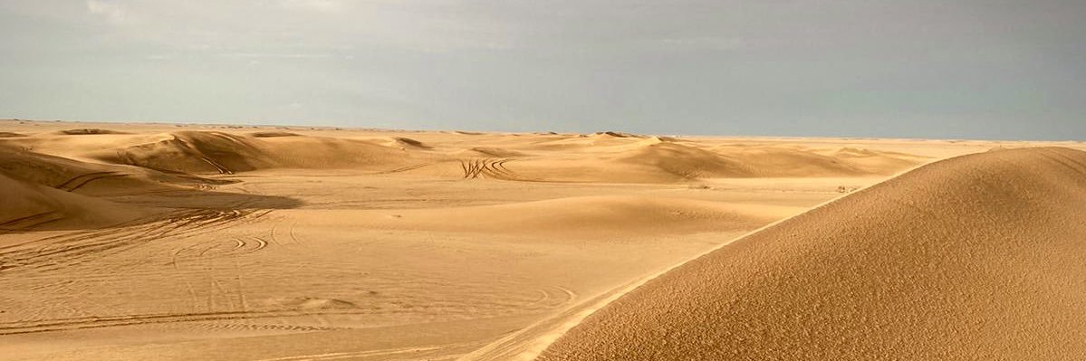 Hawatef's profile banner image