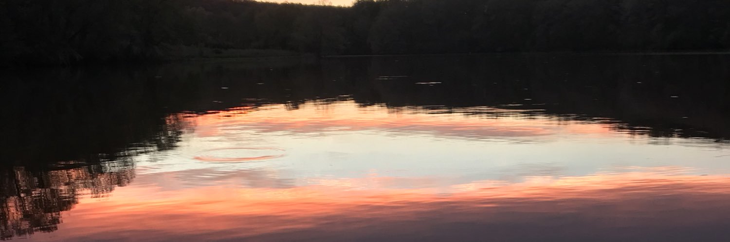 AlanBudz's profile banner image
