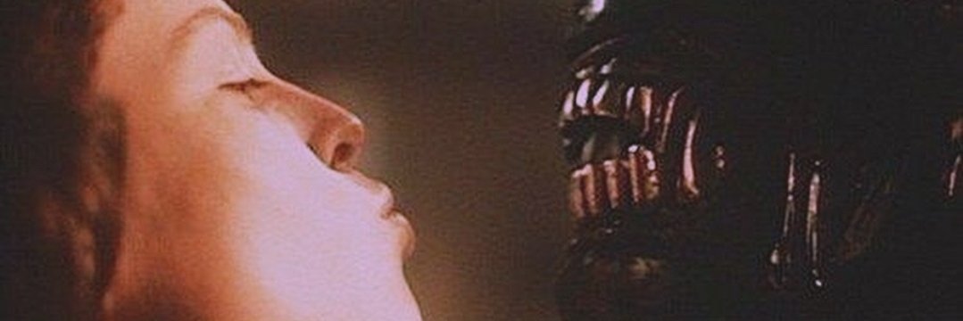 Volcanobongyo's profile banner image
