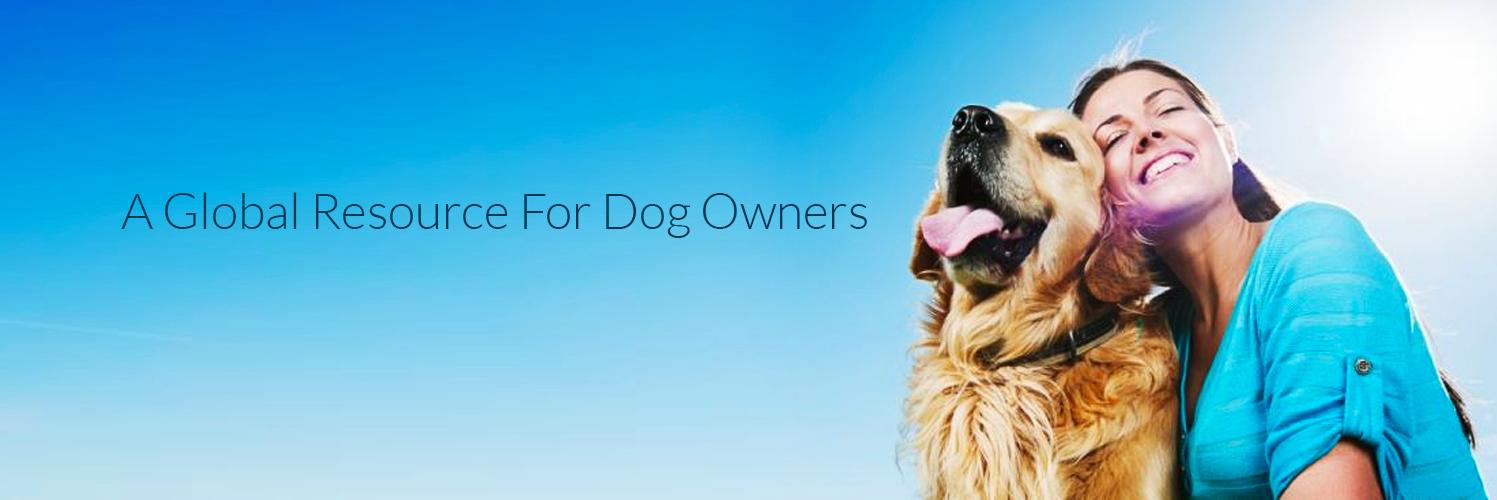 superhappydogs's profile banner image