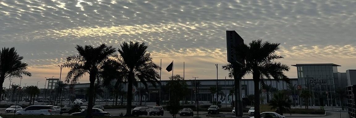 TBayouny's profile banner image