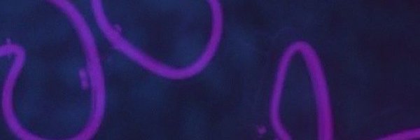 CeylinYaln5 Profile Banner