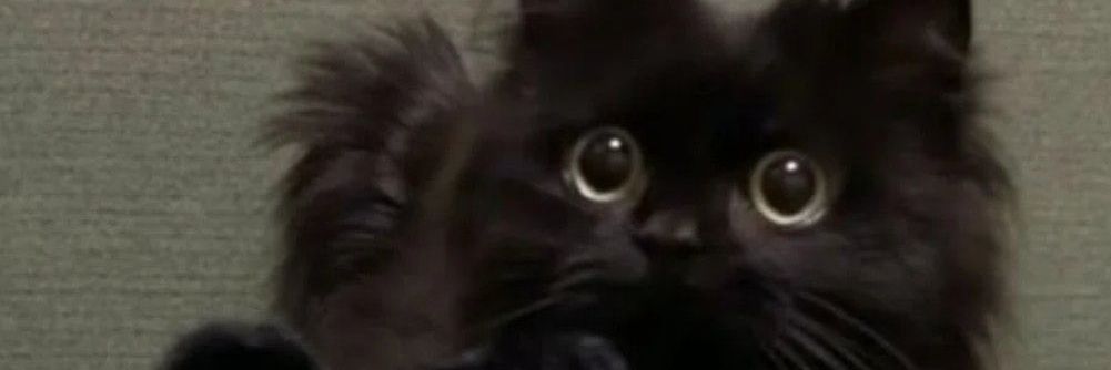 Frops00's profile banner image