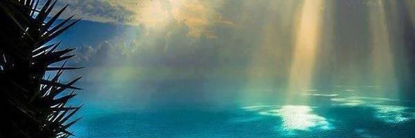 fromhelltdf's profile banner image