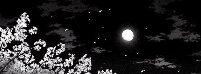 forluna9eoa's profile banner image