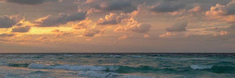 alfy_sandra's profile banner image