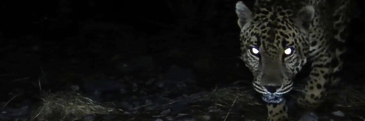 g3n5ve banner