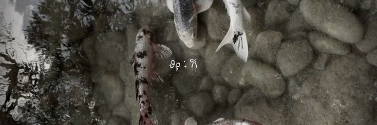 sansan banner