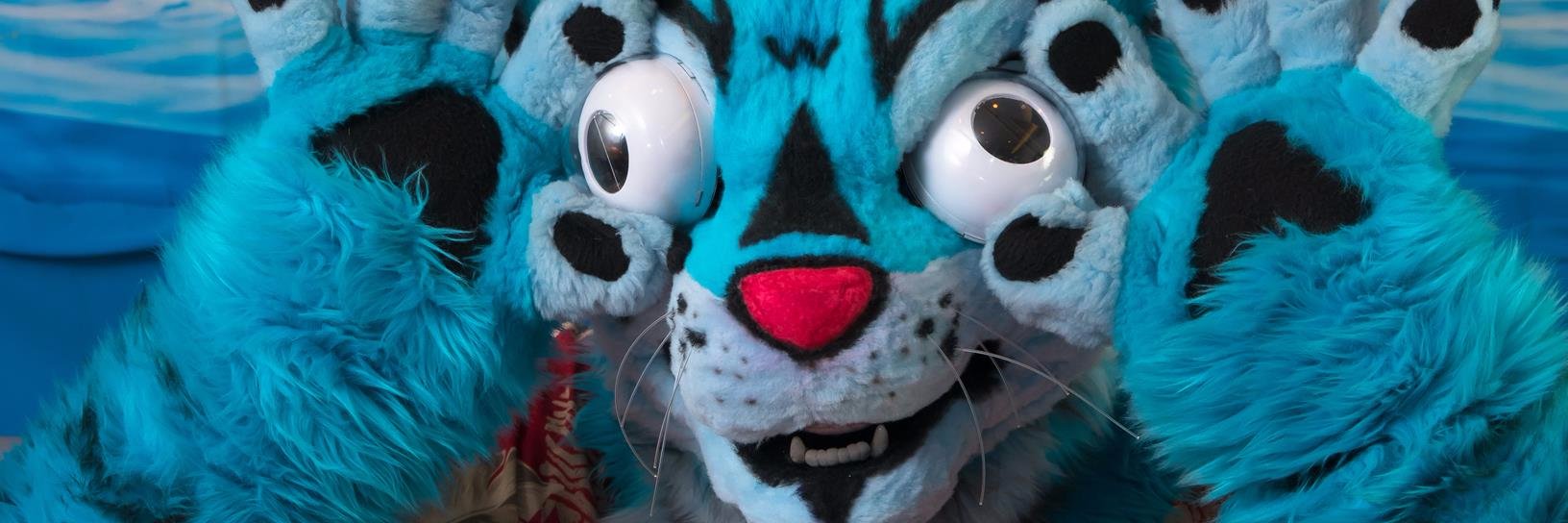 dracowong's profile banner image