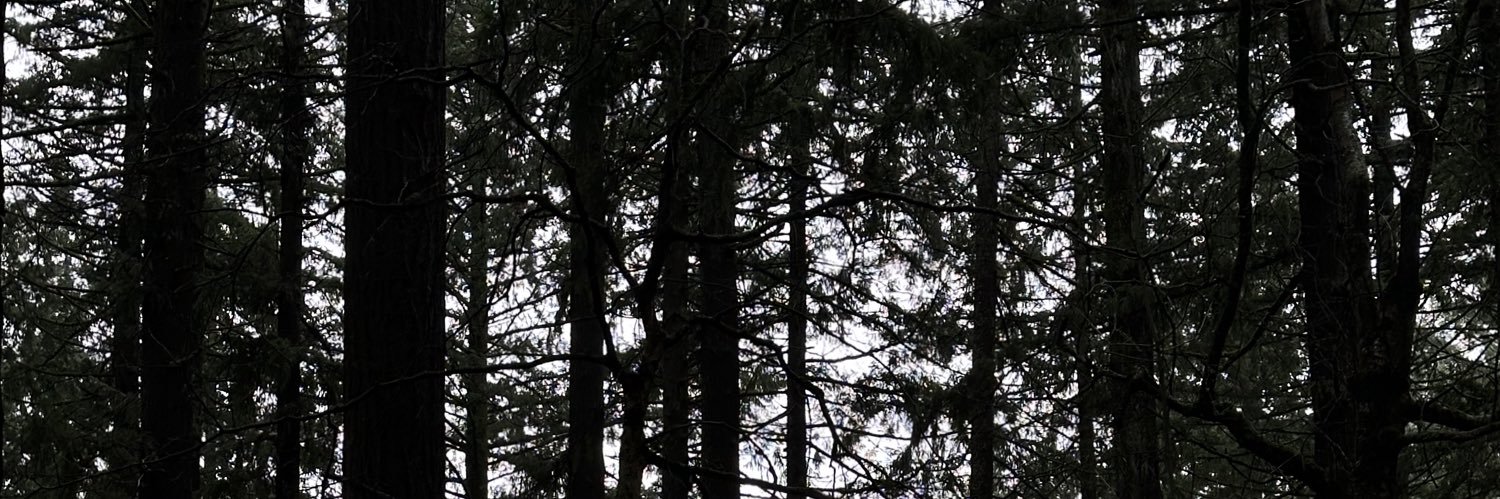 kayfay1313's profile banner image