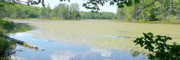 Plant_e Profile Banner