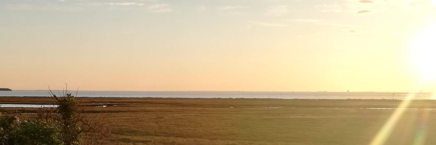 Simone Højte banner