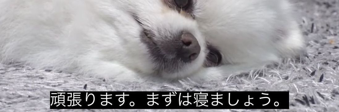 讃岐ウドン◥█̆̈◤ banner
